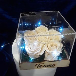 White preserved roses